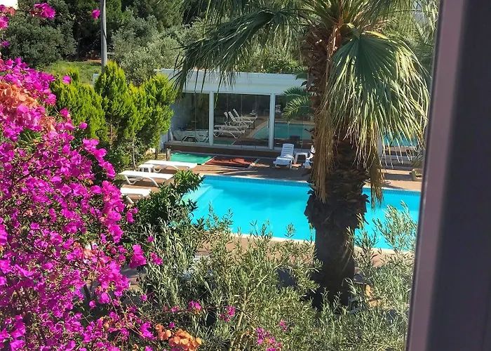 酒店 乌尊汉酒店 3*