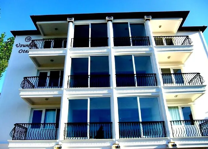 酒店 乌尊汉酒店 3*